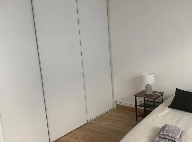 Spacieux Centre Gare Visitation * Angers