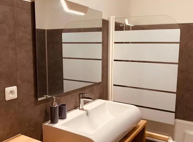 Spacieux Centre Gare Visitation Daire