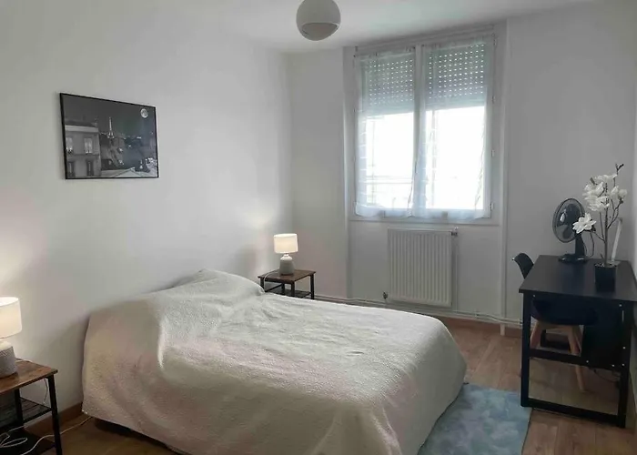 Spacieux Centre Gare Visitation Angers