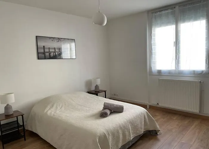 Spacieux Centre Gare Visitation * Angers